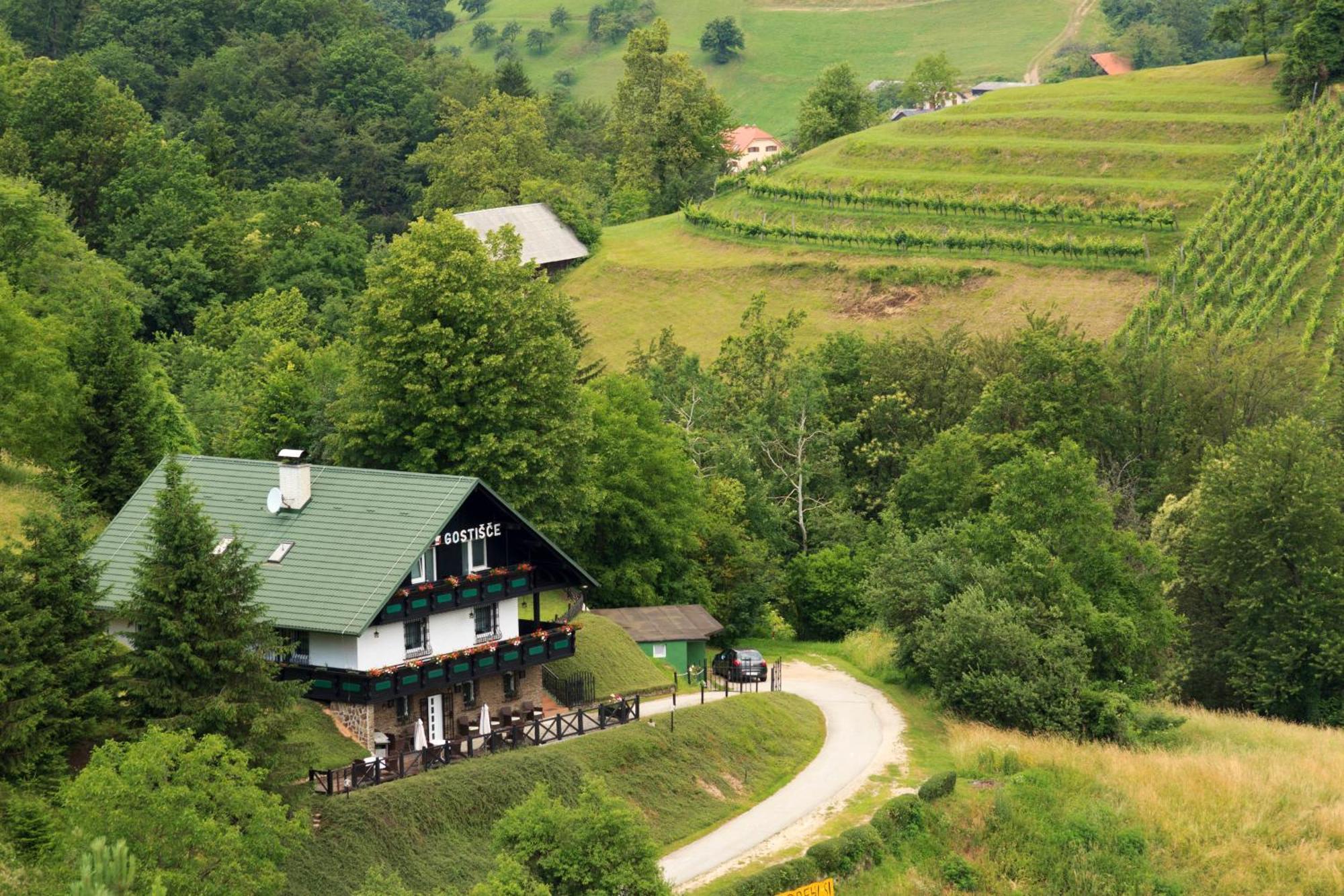 Pod Orehi Guest House Loče pri Poljčanah Eksteriør billede