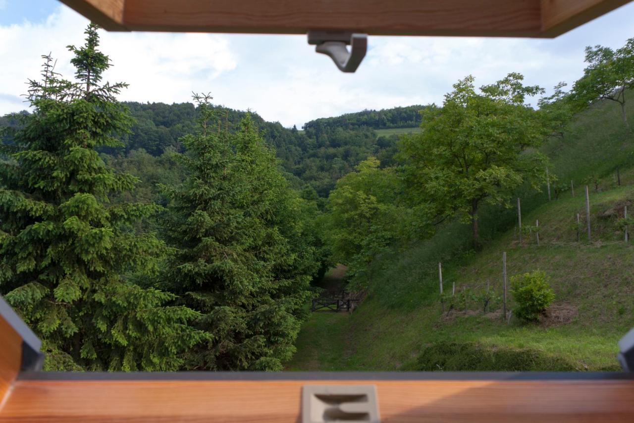 Pod Orehi Guest House Loče pri Poljčanah Værelse billede